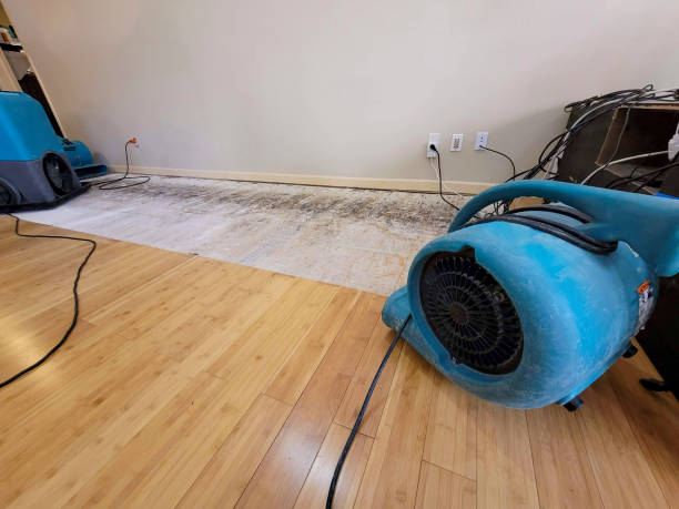 Professional Flood Damage Cleanup technician working in Williamsfield, OH